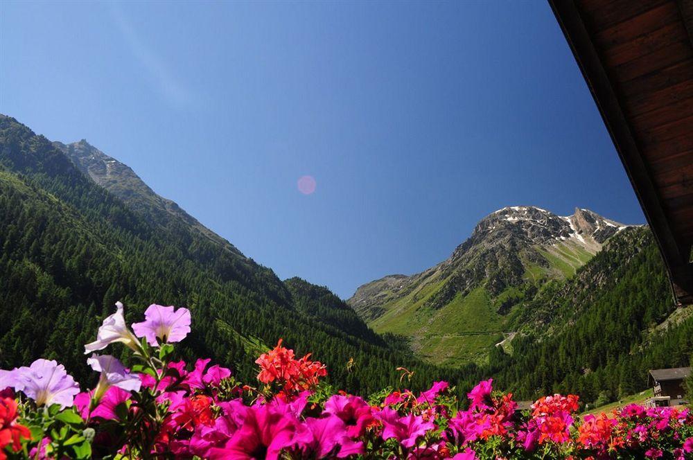 होटल Cristal - Swiss Riders Grimentz