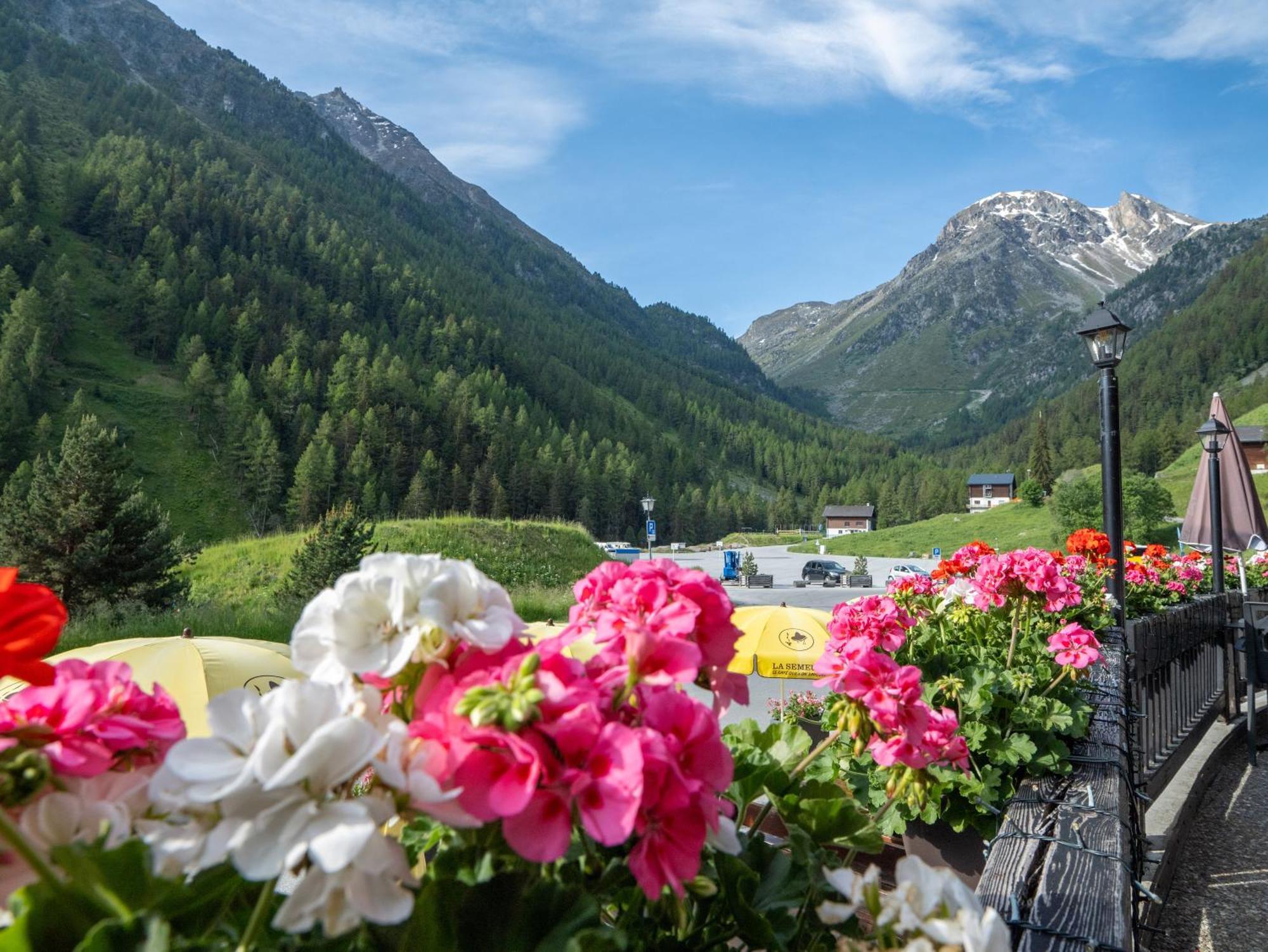 Cristal 3* Grimentz