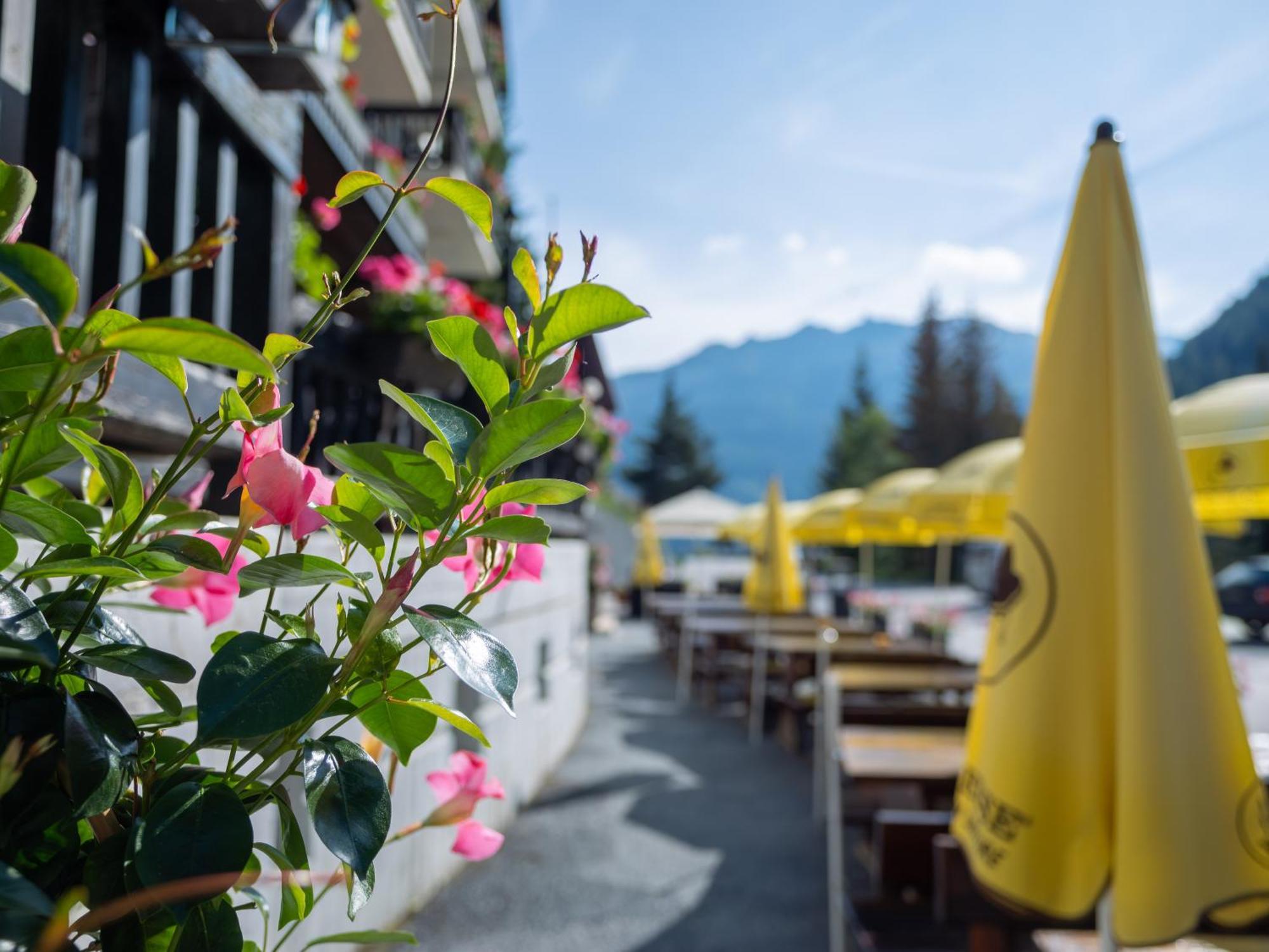 Cristal 3* Grimentz