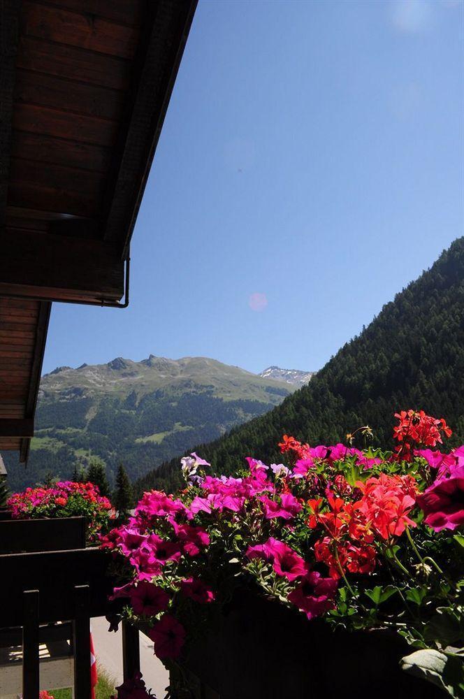 Cristal 3* Grimentz